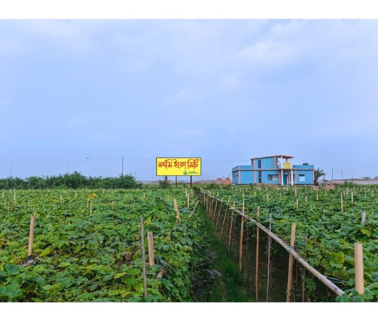 33e5e841-47f3-49f7-adb4-ceb1e3e3ff5e