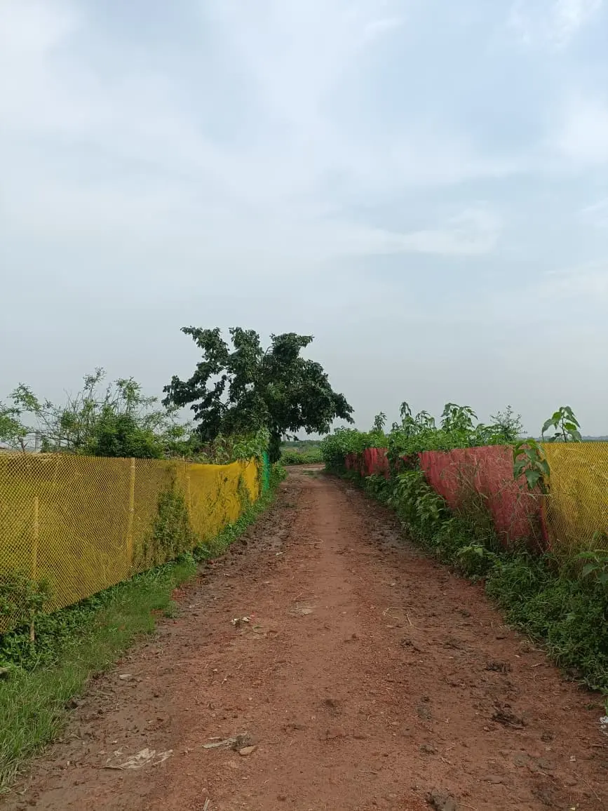 15941bb6-13b0-4aab-b069-3c90f80823b0